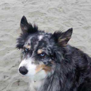 Meet your Posher, Wendy